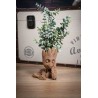 Baby Groot planter Pot de fleurs cache pot Groot Marvel